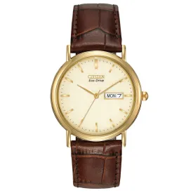 Citizen Gents Eco-Drive Watch